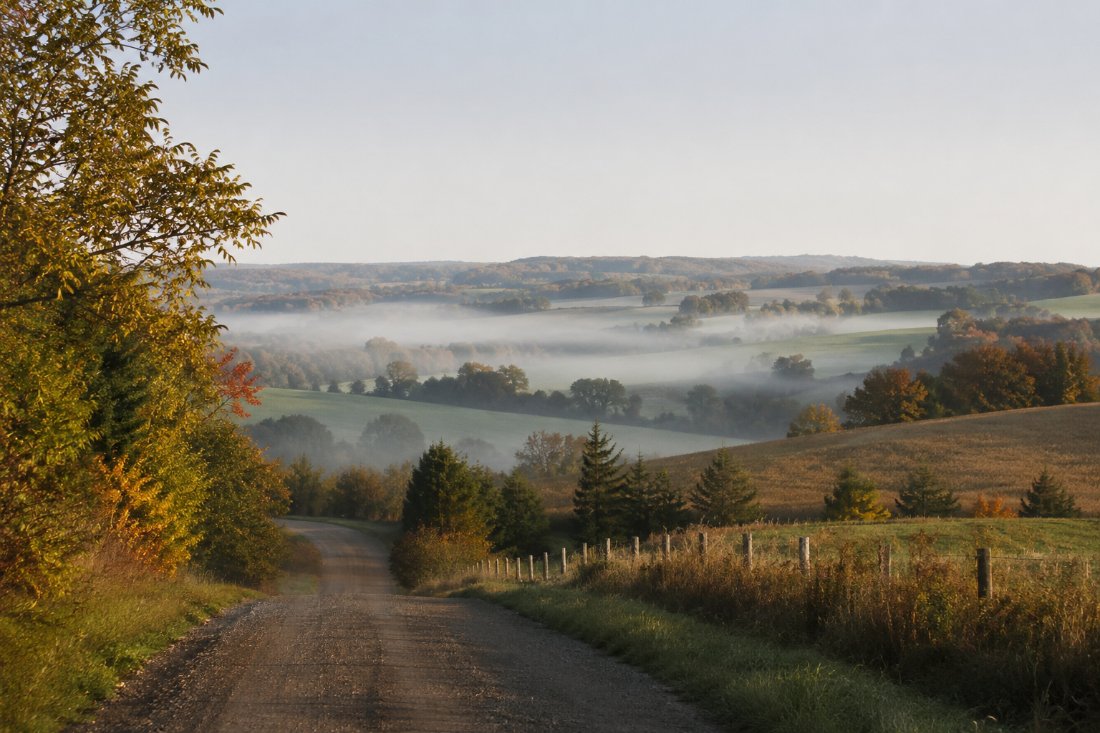 Rolling hills and hedgerows — Hamilton