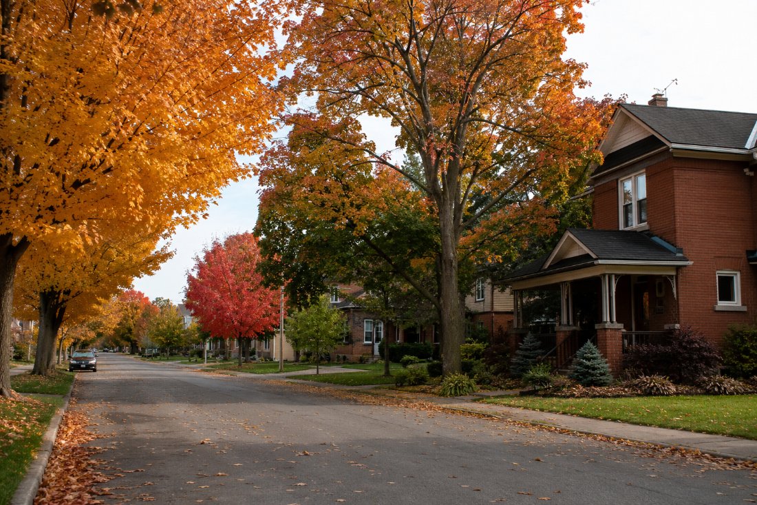 Residential streets in autumn — York Region
