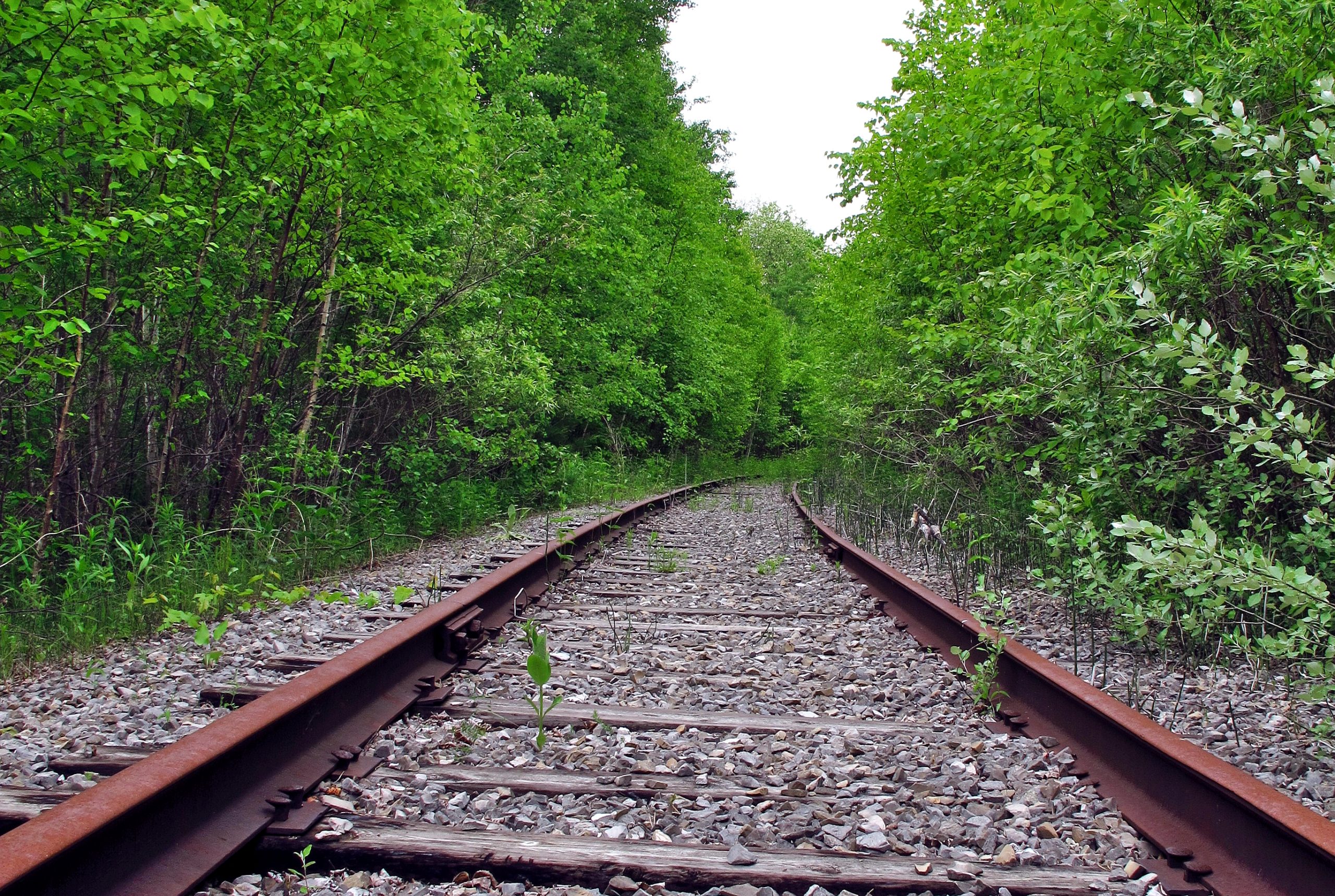 Rail line through Essa Township