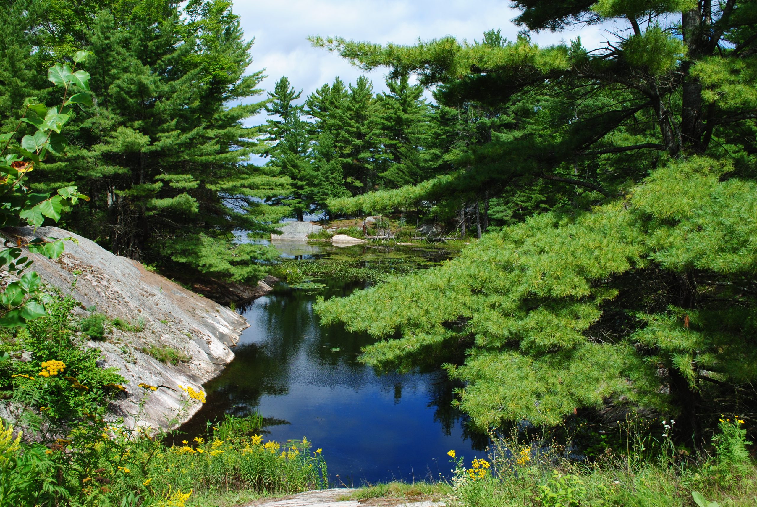 Muskoka