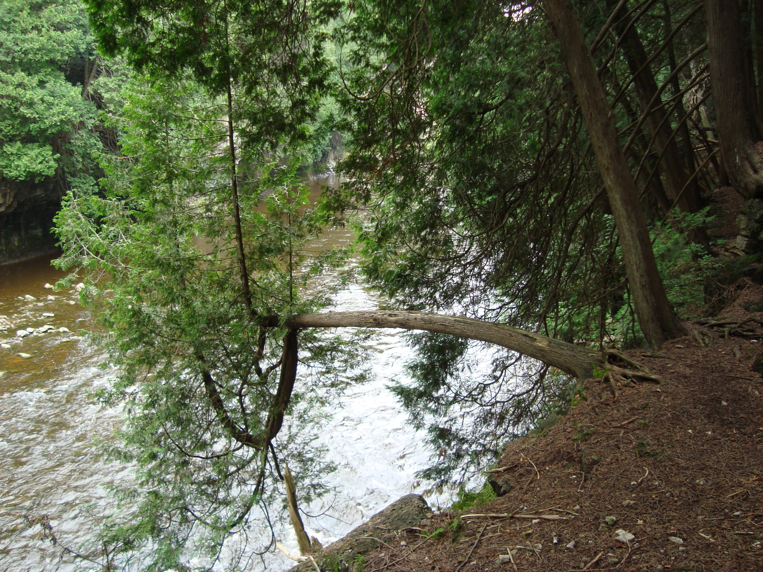 The Elora Gorge