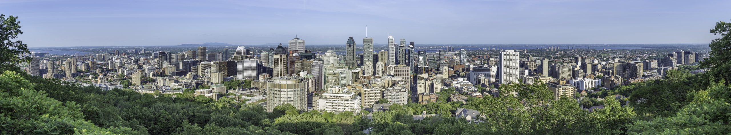 Montreal from Mount Royal